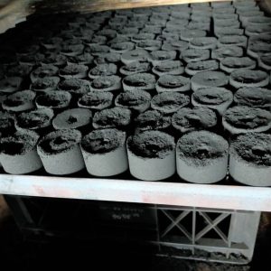 Coconut Shell Charcoal